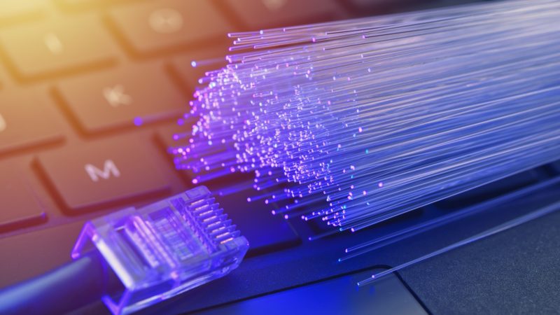 fiber