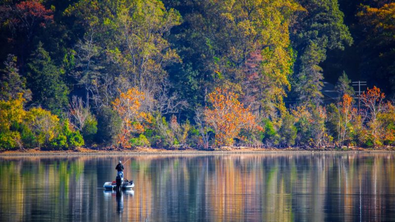 Fishing