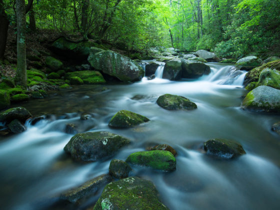 Naturaland Trust