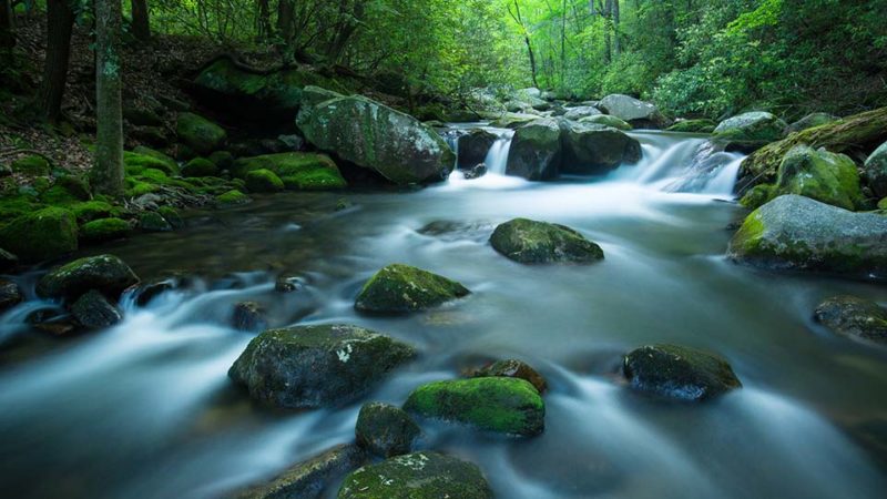 Naturaland Trust