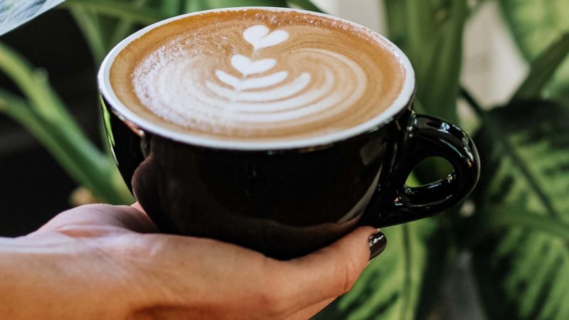 Chestnut Coffee Shop