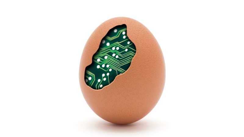 Tech egg